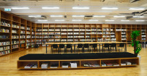 Library11